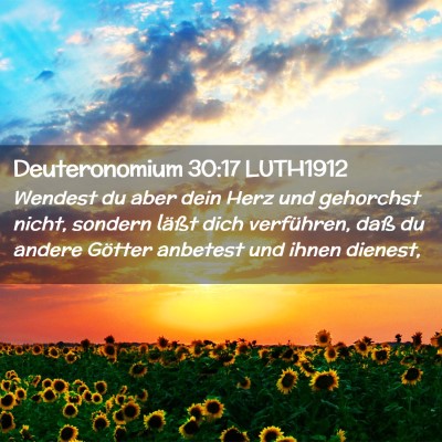 Picture 02 - Deuteronomium 30:17 LUTH1912 - Wendest du aber dein Herz und gehorchst nicht, - Bible Verse Picture