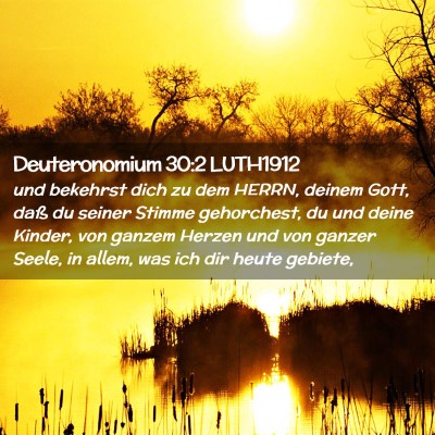 Picture 02 - Deuteronomium 30:2 LUTH1912 - und bekehrst dich zu dem HERRN, deinem Gott, daß - Bible Verse Picture