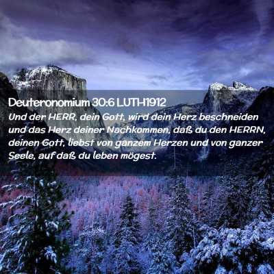 Picture 02 - Deuteronomium 30:6 LUTH1912 - Und der HERR, dein Gott, wird dein Herz - Bible Verse Picture