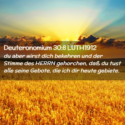 Picture 02 - Deuteronomium 30:8 LUTH1912 - du aber wirst dich bekehren und der Stimme des - Bible Verse Picture
