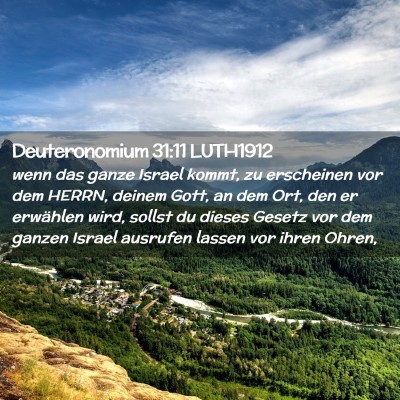 Picture 02 - Deuteronomium 31:11 LUTH1912 - wenn das ganze Israel kommt, zu erscheinen vor - Bible Verse Picture