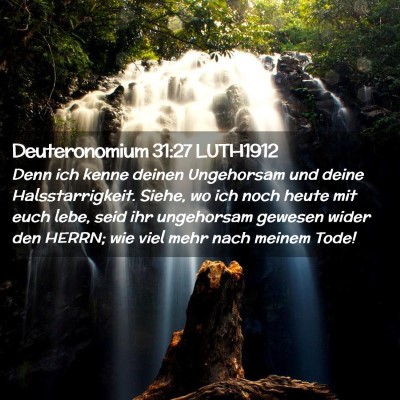 Picture 02 - Deuteronomium 31:27 LUTH1912 - Denn ich kenne deinen Ungehorsam und deine - Bible Verse Picture