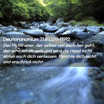 Picture 02 - Deuteronomium 31:8 LUTH1912 - Der HERR aber, der selber vor euch her geht, der - Bible Verse Picture