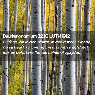 Picture 02 - Deuteronomium 32:10 LUTH1912 - Er fand ihn in der Wüste, in der dürren - Bible Verse Picture