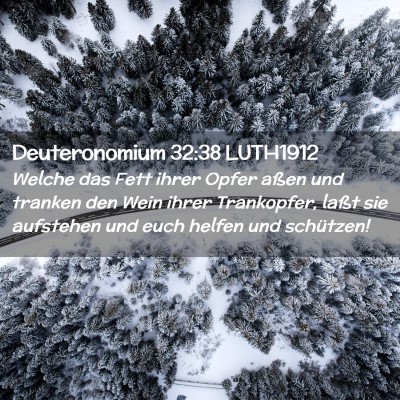 Picture 02 - Deuteronomium 32:38 LUTH1912 - Welche das Fett ihrer Opfer aßen und tranken den - Bible Verse Picture