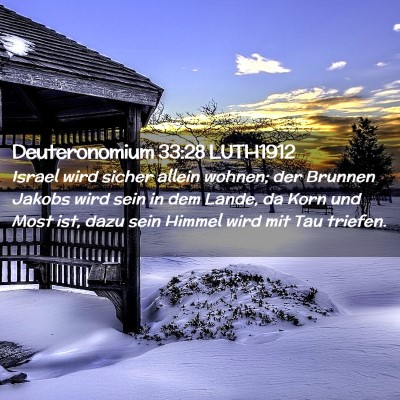 Picture 02 - Deuteronomium 33:28 LUTH1912 - Israel wird sicher allein wohnen; der Brunnen - Bible Verse Picture