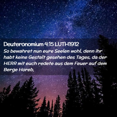 Picture 02 - Deuteronomium 4:15 LUTH1912 - So bewahret nun eure Seelen wohl, denn ihr habt - Bible Verse Picture