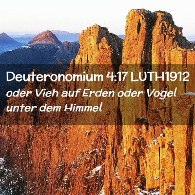 Picture 02 - Deuteronomium 4:17 LUTH1912 - oder Vieh auf Erden oder Vogel unter dem - Bible Verse Picture