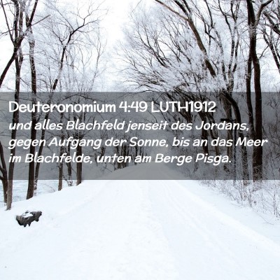 Picture 02 - Deuteronomium 4:49 LUTH1912 - und alles Blachfeld jenseit des Jordans, gegen - Bible Verse Picture