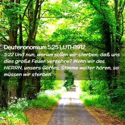 Picture 02 - Deuteronomium 5:25 LUTH1912 - 5:22 Und nun, warum sollen wir sterben, daß uns - Bible Verse Picture