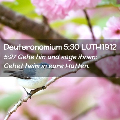 Picture 02 - Deuteronomium 5:30 LUTH1912 - 5:27 Gehe hin und sage ihnen: Gehet heim in eure - Bible Verse Picture