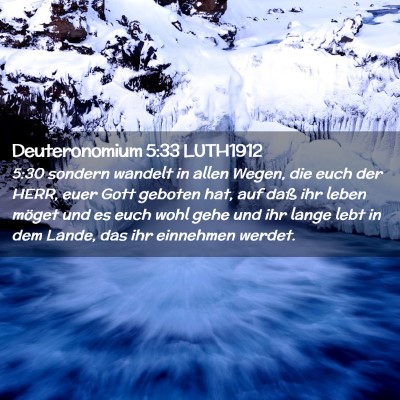 Picture 02 - Deuteronomium 5:33 LUTH1912 - 5:30 sondern wandelt in allen Wegen, die euch der - Bible Verse Picture