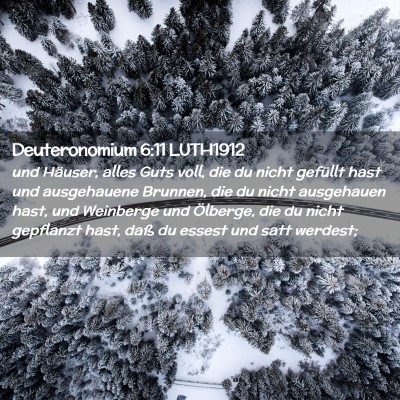 Picture 02 - Deuteronomium 6:11 LUTH1912 - und Häuser, alles Guts voll, die du nicht - Bible Verse Picture