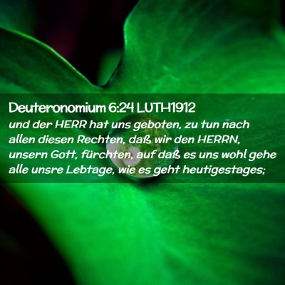 Picture 02 - Deuteronomium 6:24 LUTH1912 - und der HERR hat uns geboten, zu tun nach allen - Bible Verse Picture