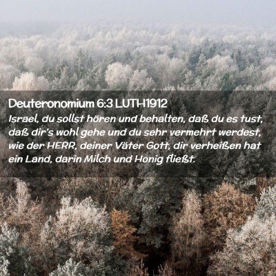 Picture 02 - Deuteronomium 6:3 LUTH1912 - Israel, du sollst hören und behalten, daß du es - Bible Verse Picture
