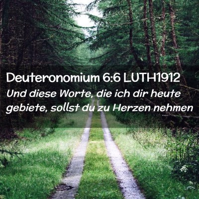 Picture 02 - Deuteronomium 6:6 LUTH1912 - Und diese Worte, die ich dir heute gebiete, - Bible Verse Picture