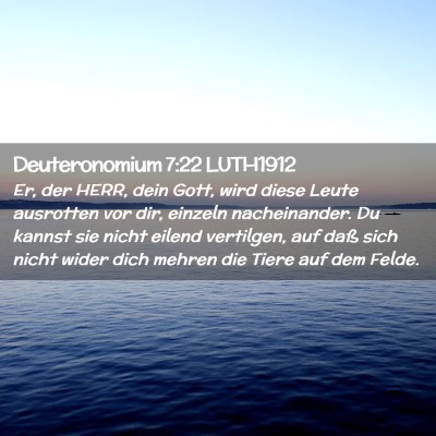Picture 02 - Deuteronomium 7:22 LUTH1912 - Er, der HERR, dein Gott, wird diese Leute - Bible Verse Picture