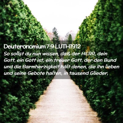Picture 02 - Deuteronomium 7:9 LUTH1912 - So sollst du nun wissen, daß der HERR, dein - Bible Verse Picture