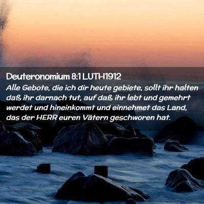 Picture 02 - Deuteronomium 8:1 LUTH1912 - Alle Gebote, die ich dir heute gebiete, sollt ihr - Bible Verse Picture