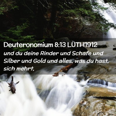 Picture 02 - Deuteronomium 8:13 LUTH1912 - und du deine Rinder und Schafe und Silber und - Bible Verse Picture