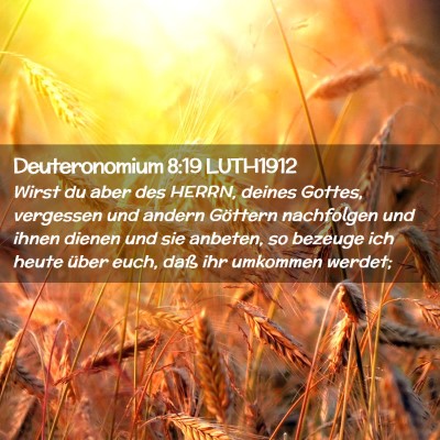 Picture 02 - Deuteronomium 8:19 LUTH1912 - Wirst du aber des HERRN, deines Gottes, vergessen - Bible Verse Picture
