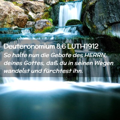 Picture 02 - Deuteronomium 8:6 LUTH1912 - So halte nun die Gebote des HERRN, deines Gottes, - Bible Verse Picture