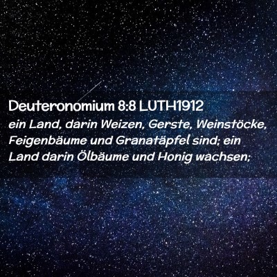 Picture 02 - Deuteronomium 8:8 LUTH1912 - ein Land, darin Weizen, Gerste, Weinstöcke, - Bible Verse Picture