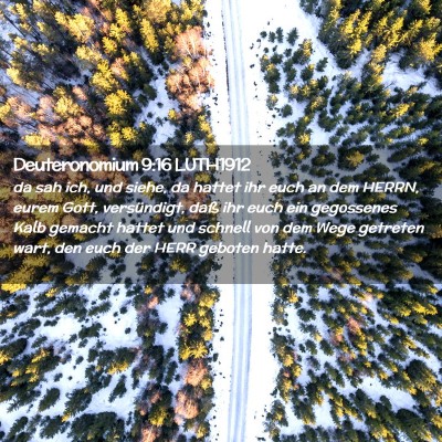 Picture 02 - Deuteronomium 9:16 LUTH1912 - da sah ich, und siehe, da hattet ihr euch an dem - Bible Verse Picture