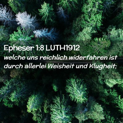 Picture 02 - Epheser 1:8 LUTH1912 - welche uns reichlich widerfahren ist durch - Bible Verse Picture