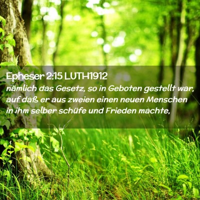 Picture 02 - Epheser 2:15 LUTH1912 - nämlich das Gesetz, so in Geboten gestellt war, - Bible Verse Picture
