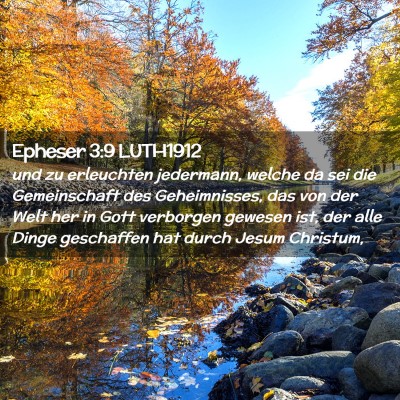Picture 02 - Epheser 3:9 LUTH1912 - und zu erleuchten jedermann, welche da sei die - Bible Verse Picture