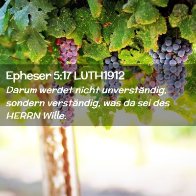 Picture 02 - Epheser 5:17 LUTH1912 - Darum werdet nicht unverständig, sondern - Bible Verse Picture