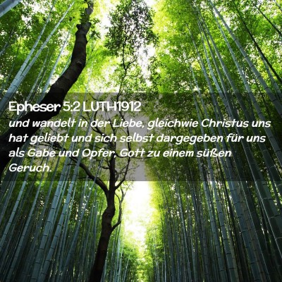 Picture 02 - Epheser 5:2 LUTH1912 - und wandelt in der Liebe, gleichwie Christus uns - Bible Verse Picture