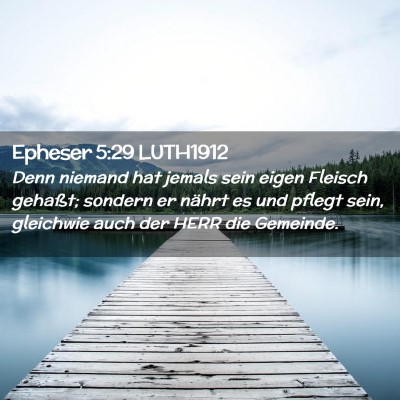 Picture 02 - Epheser 5:29 LUTH1912 - Denn niemand hat jemals sein eigen Fleisch - Bible Verse Picture