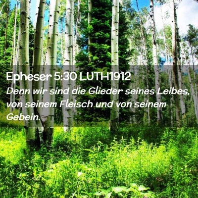 Picture 02 - Epheser 5:30 LUTH1912 - Denn wir sind die Glieder seines Leibes, von - Bible Verse Picture