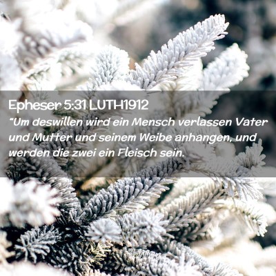 Picture 02 - Epheser 5:31 LUTH1912 - “Um deswillen wird ein Mensch verlassen Vater - Bible Verse Picture