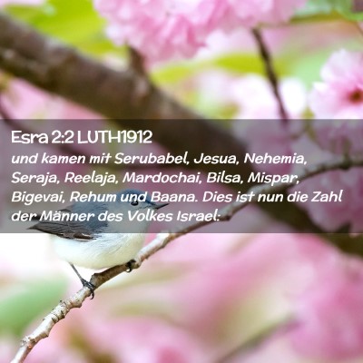 Picture 02 - Esra 2:2 LUTH1912 - und kamen mit Serubabel, Jesua, Nehemia, Seraja, - Bible Verse Picture