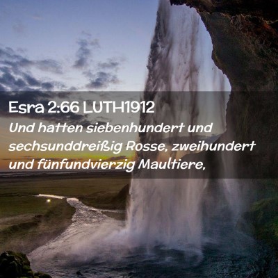 Picture 02 - Esra 2:66 LUTH1912 - Und hatten siebenhundert und sechsunddreißig - Bible Verse Picture