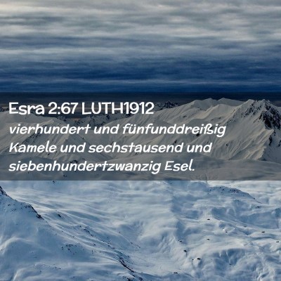 Picture 02 - Esra 2:67 LUTH1912 - vierhundert und fünfunddreißig Kamele und - Bible Verse Picture