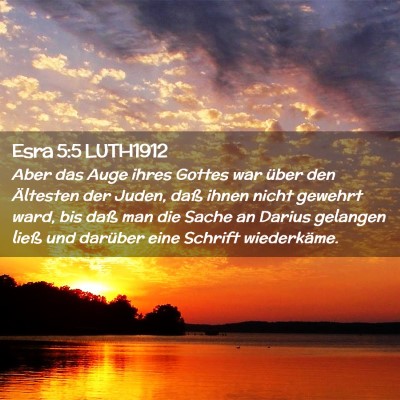 Picture 02 - Esra 5:5 LUTH1912 - Aber das Auge ihres Gottes war über den - Bible Verse Picture