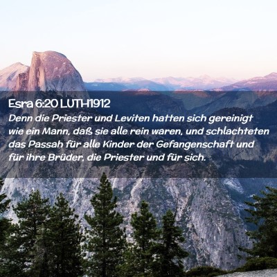 Picture 02 - Esra 6:20 LUTH1912 - Denn die Priester und Leviten hatten sich - Bible Verse Picture