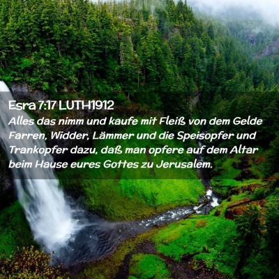 Picture 02 - Esra 7:17 LUTH1912 - Alles das nimm und kaufe mit Fleiß von dem Gelde - Bible Verse Picture