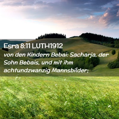 Picture 02 - Esra 8:11 LUTH1912 - von den Kindern Bebai: Sacharja, der Sohn Bebais, - Bible Verse Picture