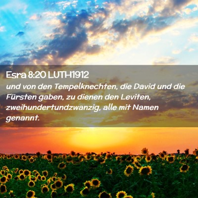 Picture 02 - Esra 8:20 LUTH1912 - und von den Tempelknechten, die David und die - Bible Verse Picture