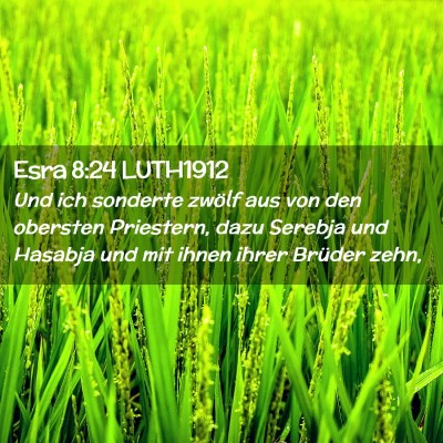 Picture 02 - Esra 8:24 LUTH1912 - Und ich sonderte zwölf aus von den obersten - Bible Verse Picture