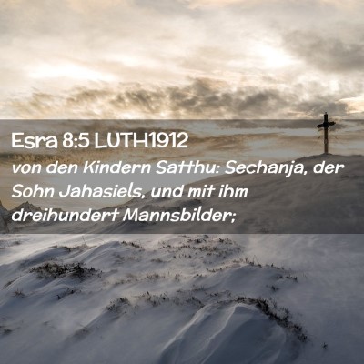 Picture 02 - Esra 8:5 LUTH1912 - von den Kindern Satthu: Sechanja, der Sohn - Bible Verse Picture