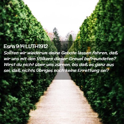 Picture 02 - Esra 9:14 LUTH1912 - Sollten wir wiederum deine Gebote lassen fahren, - Bible Verse Picture
