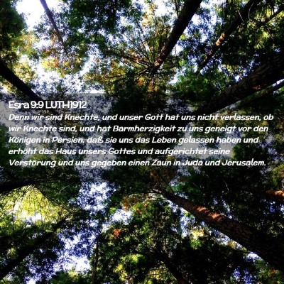 Picture 02 - Esra 9:9 LUTH1912 - Denn wir sind Knechte, und unser Gott hat uns - Bible Verse Picture