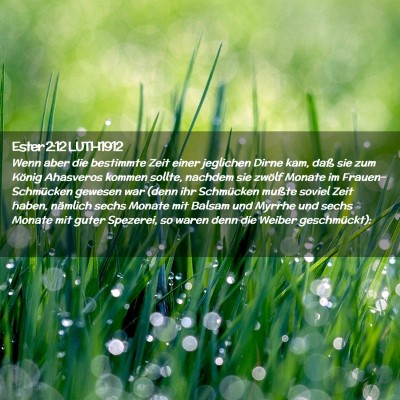 Picture 02 - Ester 2:12 LUTH1912 - Wenn aber die bestimmte Zeit einer jeglichen - Bible Verse Picture