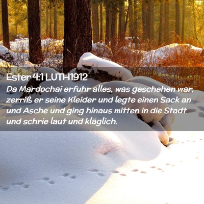 Picture 02 - Ester 4:1 LUTH1912 - Da Mardochai erfuhr alles, was geschehen war, - Bible Verse Picture